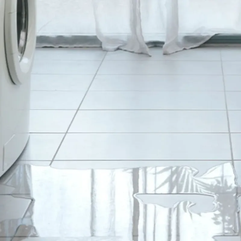 Appliance Leak Cleanup in Twin Lake, MI