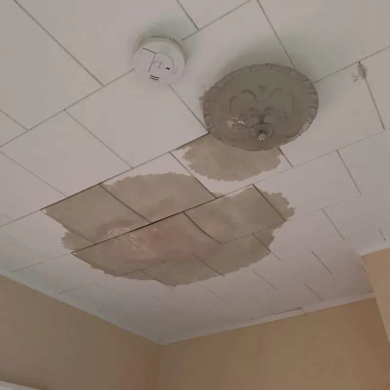Ceiling Water Damage Repair in Twin Lake, MI
