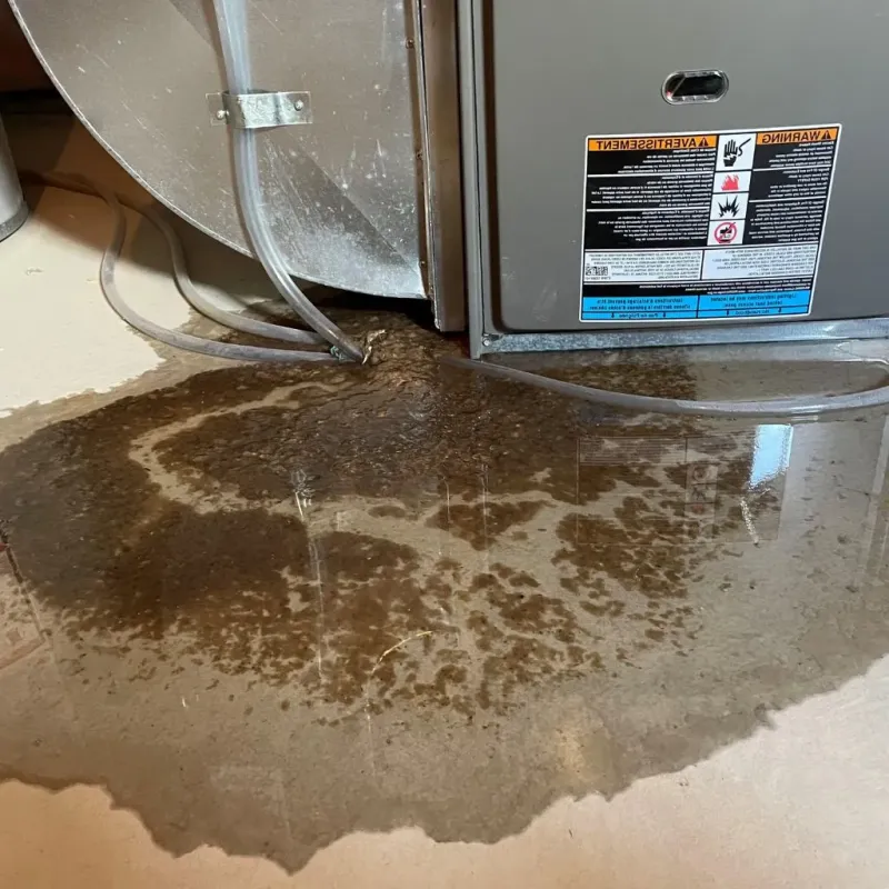 Pipe Burst and Leak Restoration in Twin Lake, MI