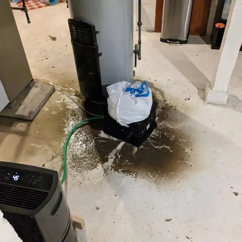 Sewage Backup Cleanup Service in Twin Lake, MI